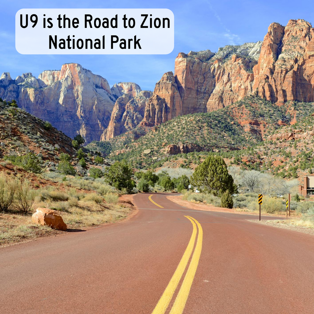 U9 "The Road to Zion" Utah Trucker Hat